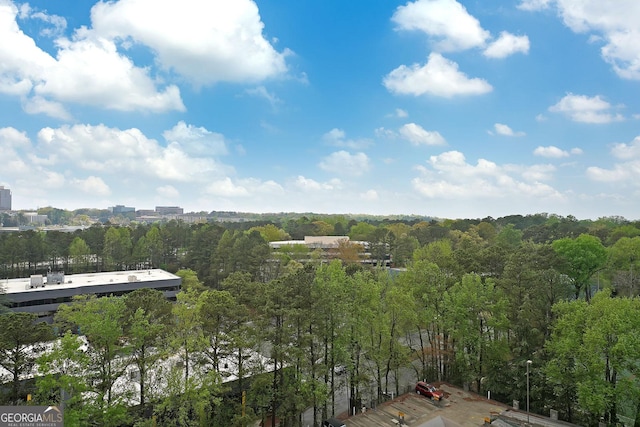 bird's eye view with a forest view