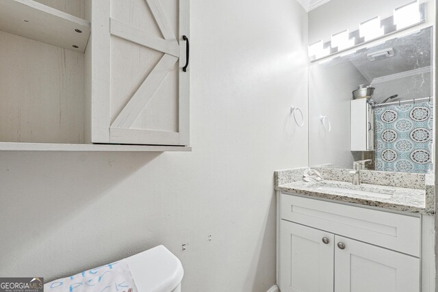 1291 Marcelle Heights Pl, Norcross, GA 30093 - full bath featuring baseboards, vanity, toilet, and ornamental molding