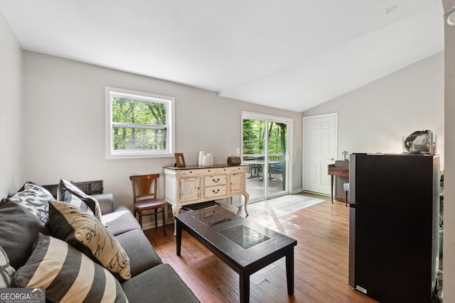 1291 Marcelle Heights Pl, Norcross, GA 30093 - living area featuring wood finished floors and lofted ceiling