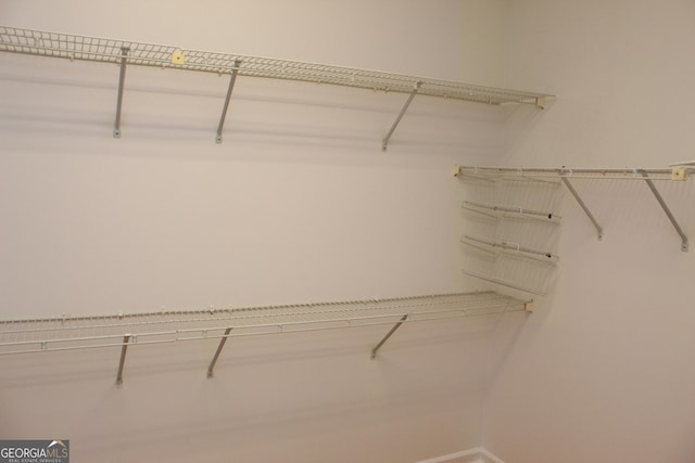view of spacious closet