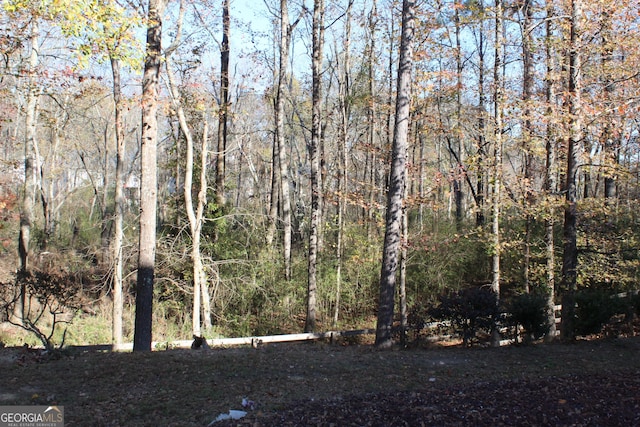 view of landscape with a wooded view