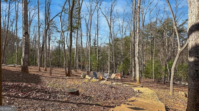 360 Prince Dr, Morganton, GA 30560 - view of yard featuring a forest view