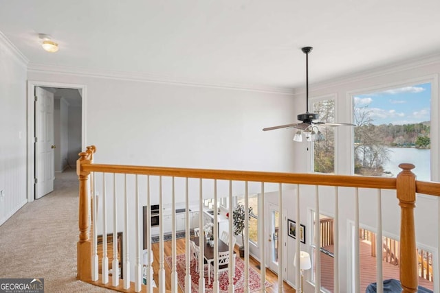 hallway featuring an upstairs landing, carpet floors, and ornamental molding