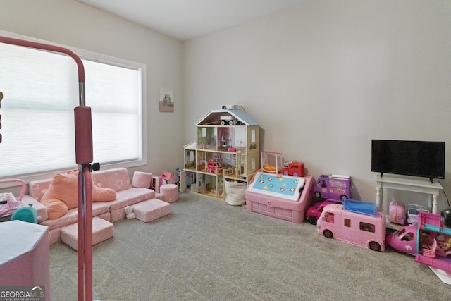 rec room with carpet floors