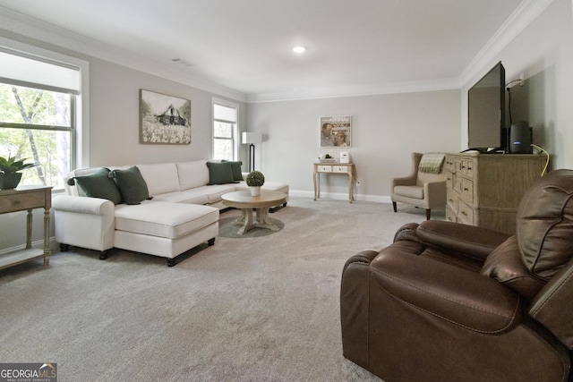 carpeted living room featuring baseboards and crown molding