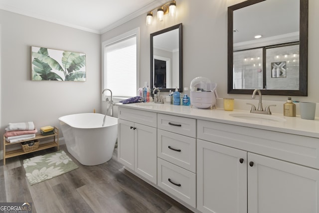 bathroom featuring double vanity, a freestanding tub, a sink, and ornamental molding