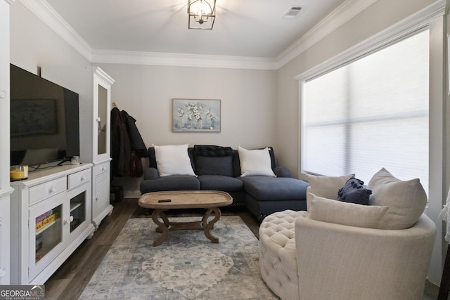 living room with crown molding, dark wood-type flooring, and visible vents