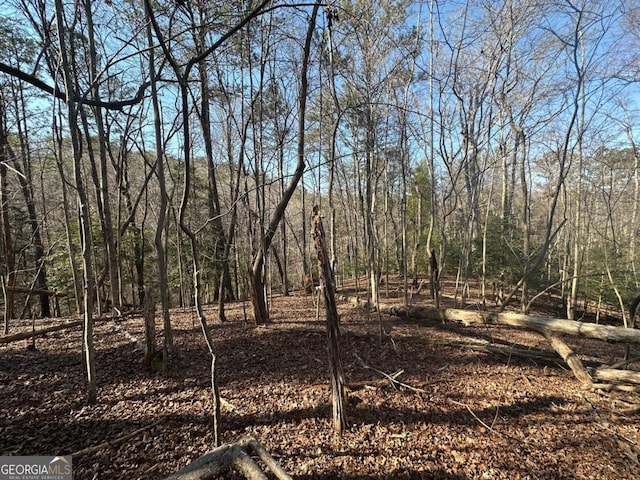 LT10 Villa Dr, Ellijay, GA 30540