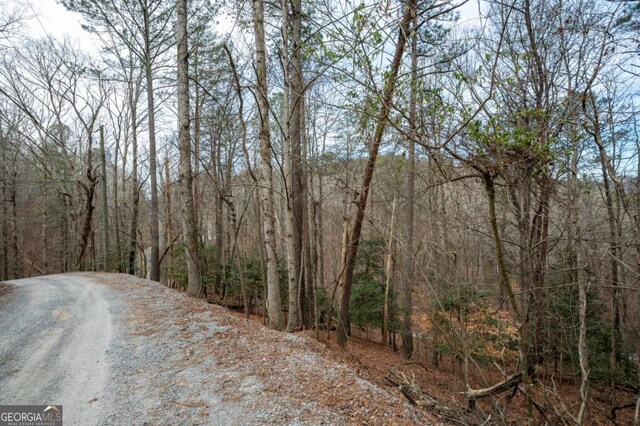 LT10 Villa Dr, Ellijay, GA 30540