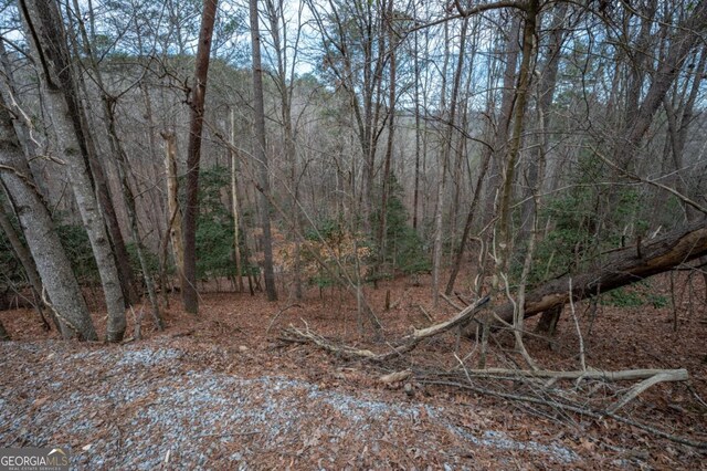 LT10 Villa Dr, Ellijay, GA 30540