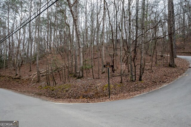 LT10 Villa Dr, Ellijay, GA 30540