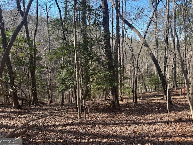 LT10 Villa Dr, Ellijay, GA 30540