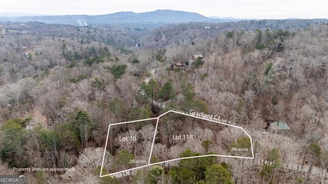 LT10 Villa Dr, Ellijay, GA 30540
