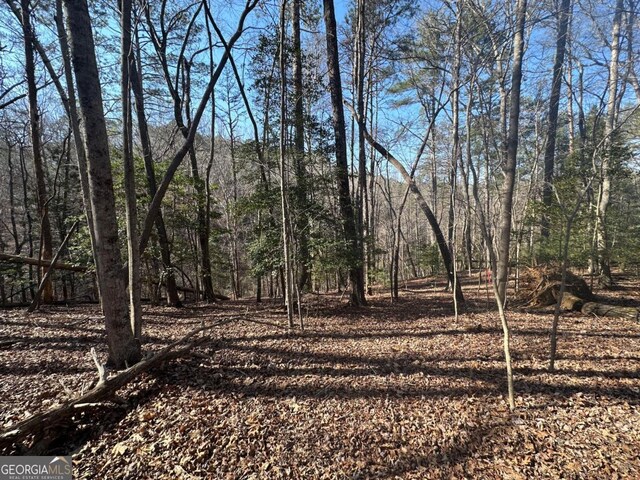 LT10 Villa Dr, Ellijay, GA 30540
