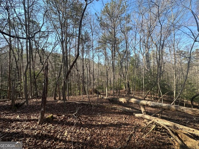 LT10 Villa Dr, Ellijay, GA 30540