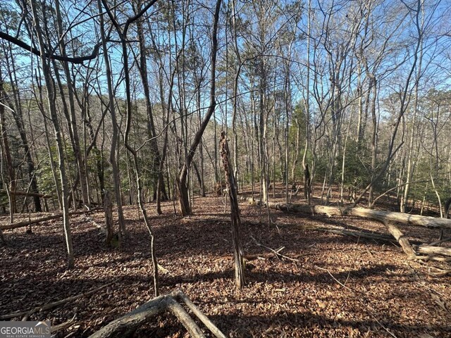 LT10 Villa Dr, Ellijay, GA 30540