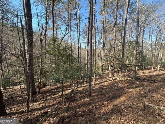 LT10 Villa Dr, Ellijay, GA 30540