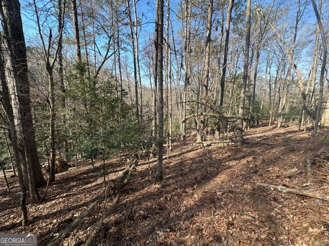 LT10 Villa Dr, Ellijay, GA 30540