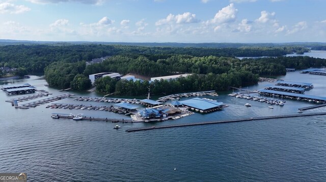 8625 Anchor On Lanier Ct, Gainesville, GA 30506 - bird's eye view of numerous boat docks, a large body of water, and a forest