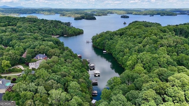 8625 Anchor On Lanier Ct, Gainesville, GA 30506 - aerial view of a large body of water and a forest