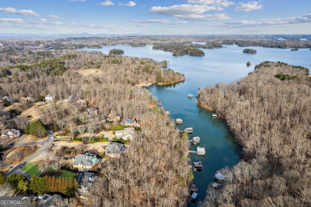8625 Anchor On Lanier Ct, Gainesville, GA 30506 - view of property location featuring a nearby body of water and a forest