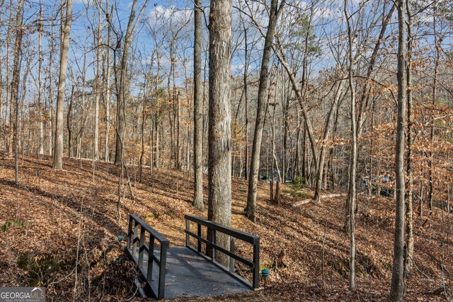 8625 Anchor On Lanier Ct, Gainesville, GA 30506 - view of home's community