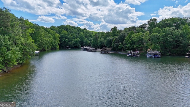 8625 Anchor On Lanier Ct, Gainesville, GA 30506 - water view with a heavily wooded area