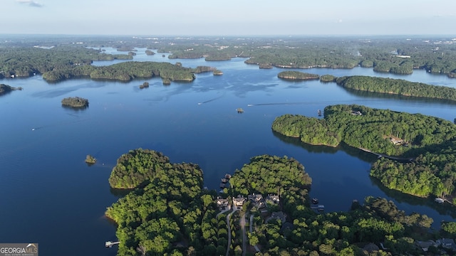 8625 Anchor On Lanier Ct, Gainesville, GA 30506 - aerial view of a nearby body of water and a forest