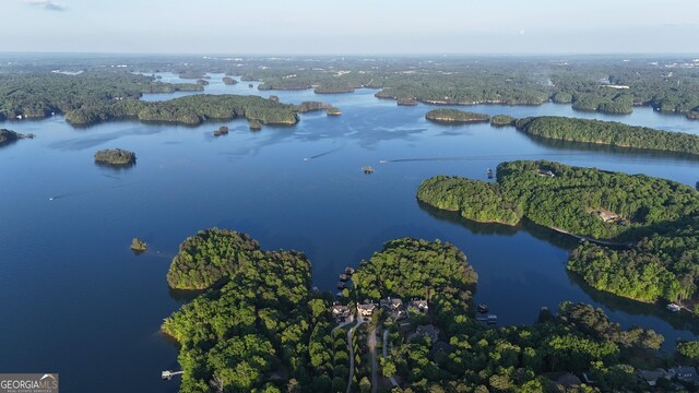 8625 Anchor On Lanier Ct, Gainesville, GA 30506 - view of property location with a large body of water and a heavily wooded area