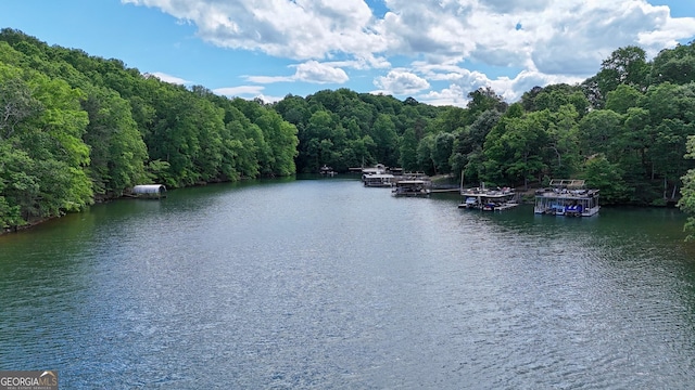 8625 Anchor On Lanier Ct, Gainesville, GA 30506 - water view featuring a heavily wooded area and a boat dock