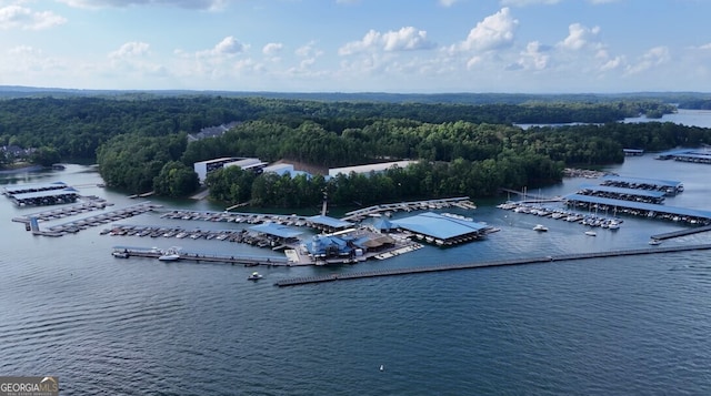 8625 Anchor On Lanier Ct, Gainesville, GA 30506 - bird's eye view of a marina, a large body of water, and a forest