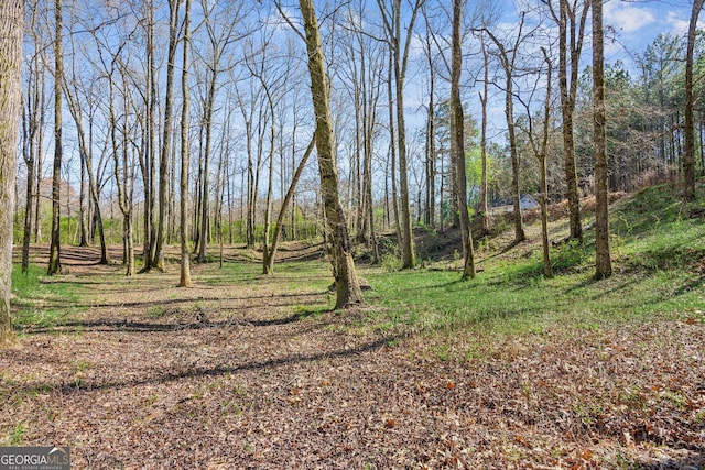 11637 Brown Bridge Rd, Covington, GA 30016 - view of yard