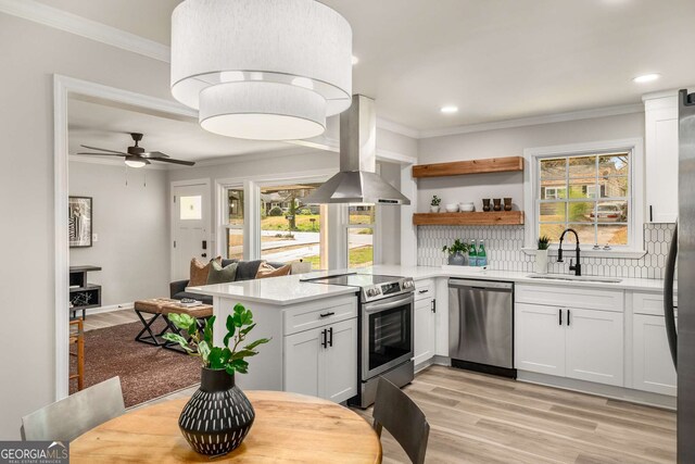 kitchen featuring a peninsula, island exhaust hood, a sink, ornamental molding, and stainless steel appliances