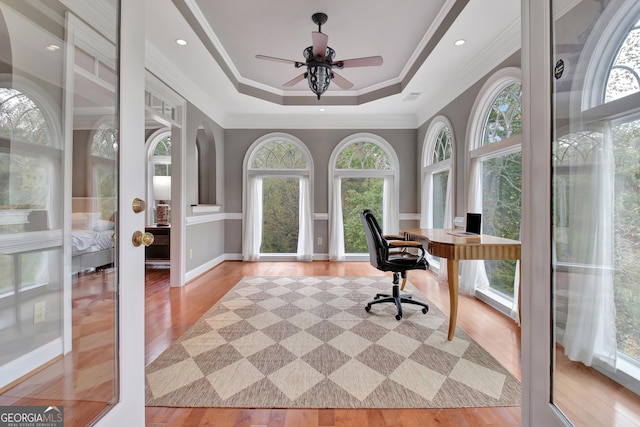 1575 Oak Mountain Rd, Shiloh, GA 31826 - office with healthy amount of natural light, light wood finished floors, ornamental molding, a raised ceiling, and ceiling fan