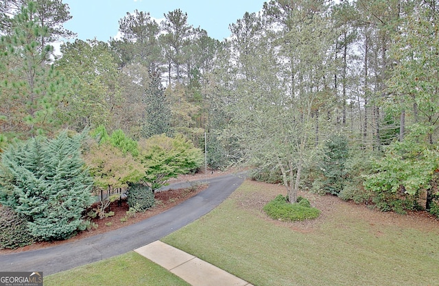 1575 Oak Mountain Rd, Shiloh, GA 31826 - view of community featuring a yard