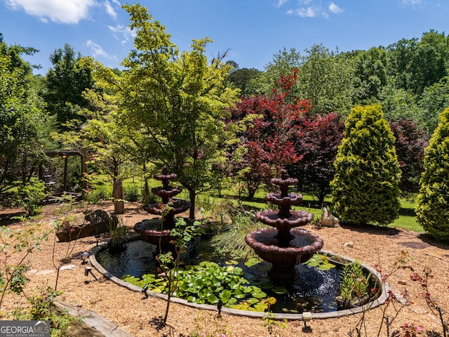 1575 Oak Mountain Rd, Shiloh, GA 31826 - view of yard featuring a garden pond