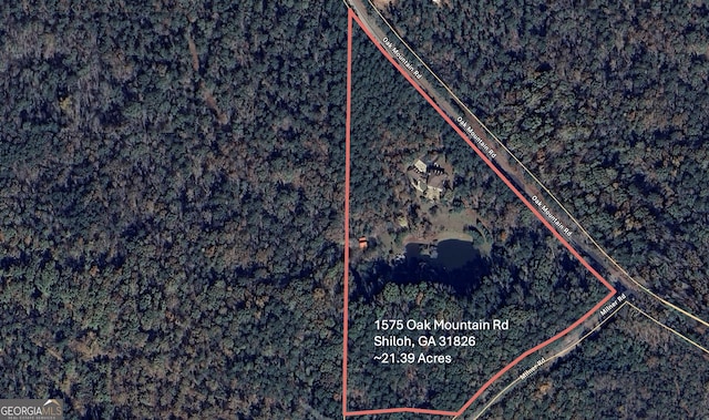 1575 Oak Mountain Rd, Shiloh, GA 31826 - map location