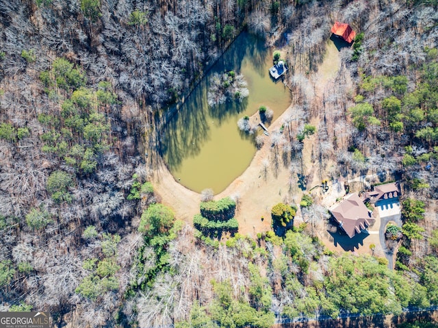 1575 Oak Mountain Rd, Shiloh, GA 31826 - birds eye view of property