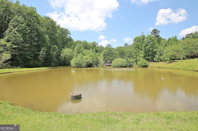 1575 Oak Mountain Rd, Shiloh, GA 31826 - water view featuring a forest