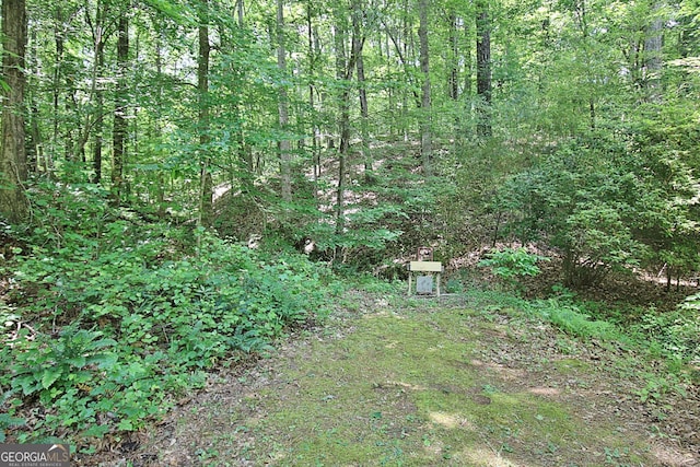 1575 Oak Mountain Rd, Shiloh, GA 31826 - view of yard featuring a view of trees