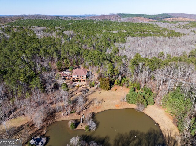 1575 Oak Mountain Rd, Shiloh, GA 31826 - view of property location featuring a forest and a large body of water