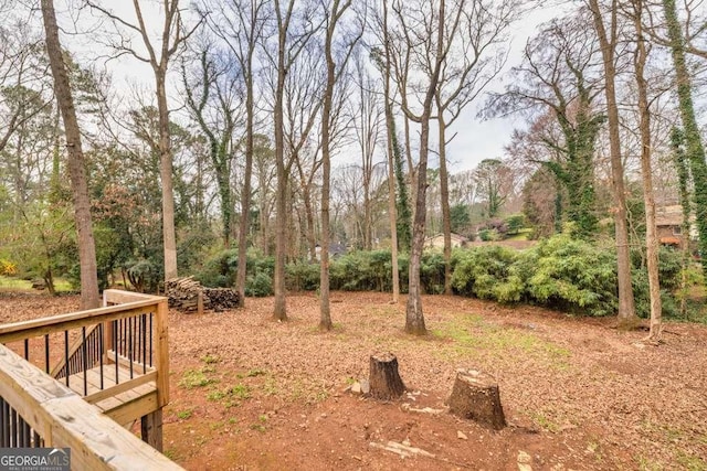 1417 Hickory Dr SW, Lilburn, GA 30047 - view of yard