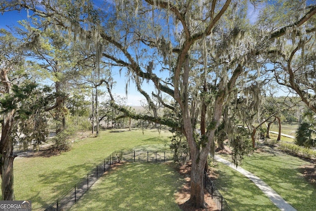 1108 E Mission Ln SE, Darien, GA 31305 - view of yard