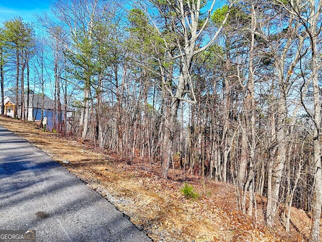 334 Mountain Sweet Dr, Clarkesville, GA 30523
