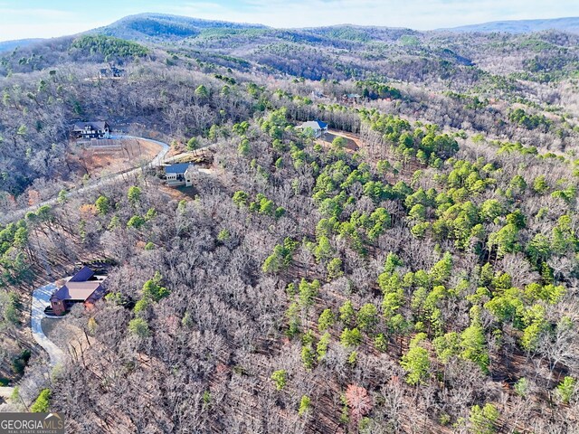 334 Mountain Sweet Dr, Clarkesville, GA 30523