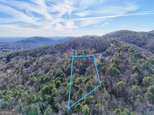 334 Mountain Sweet Dr, Clarkesville, GA 30523