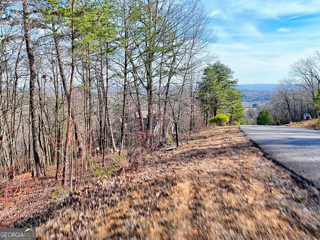 334 Mountain Sweet Dr, Clarkesville, GA 30523