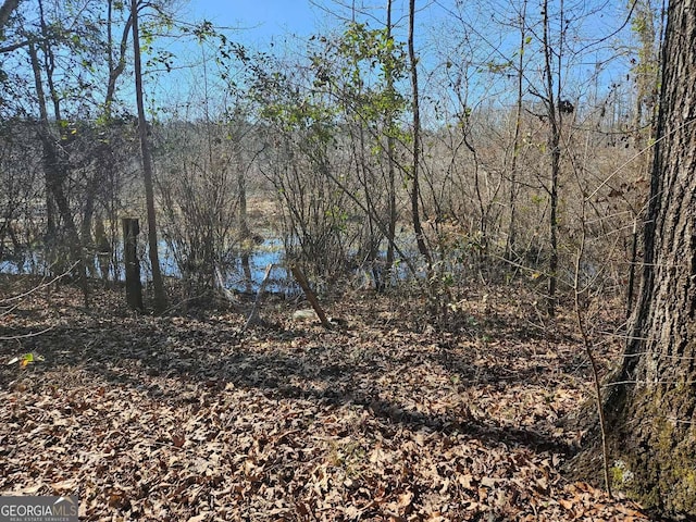 view of nature with a view of trees