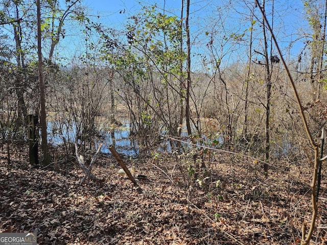view of landscape with a forest view