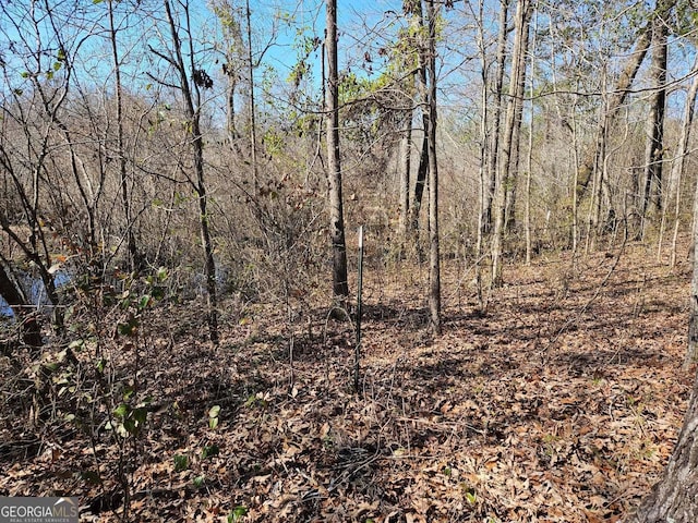 view of nature featuring a wooded view